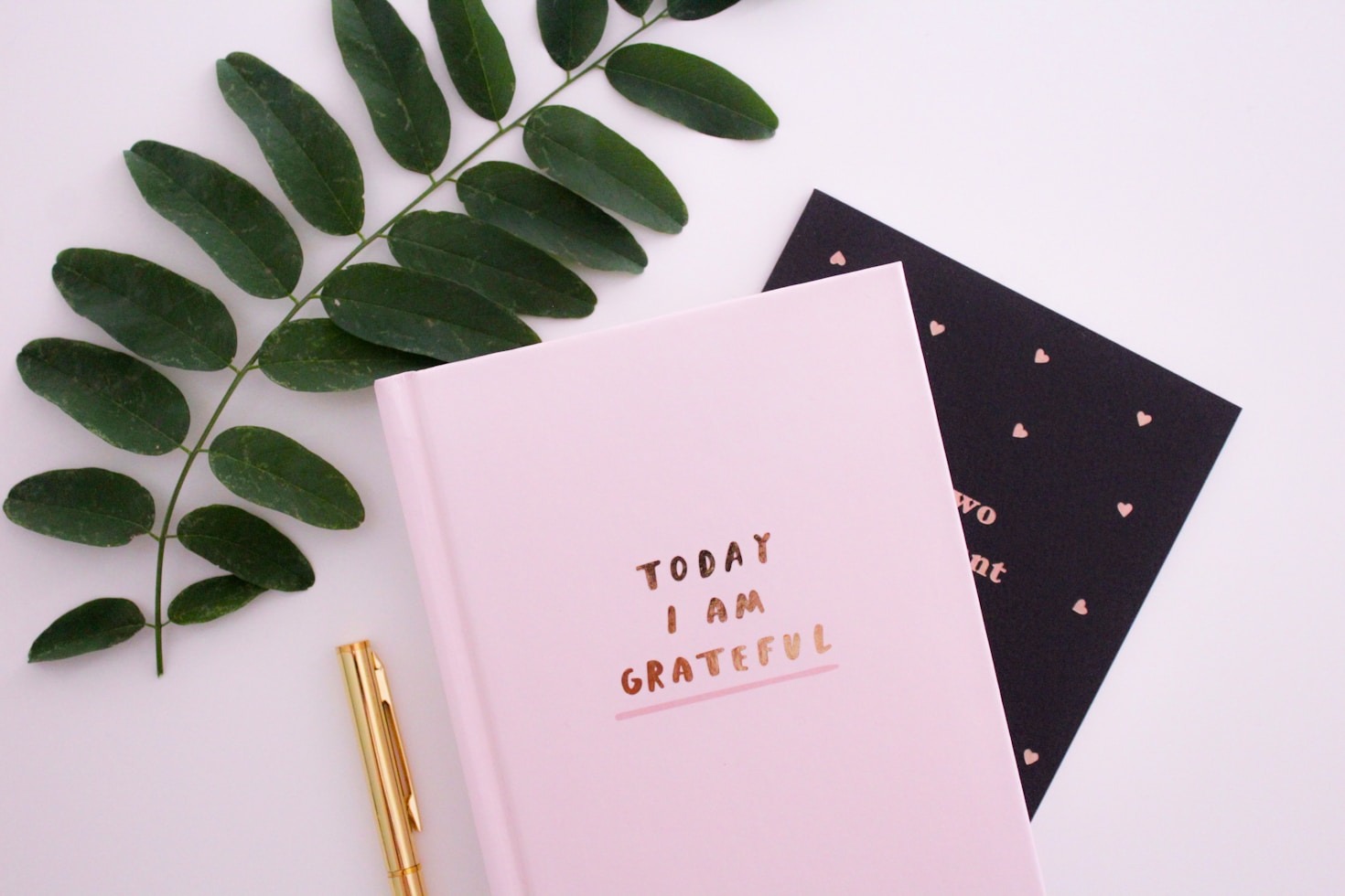 A Collection of Personal Milestones and Memoirs